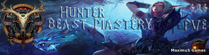 Hunter Beast Mastery PVE